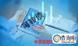 发债中签后怎么操作