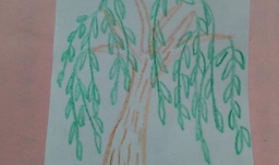 彩色柳树简笔画怎么画