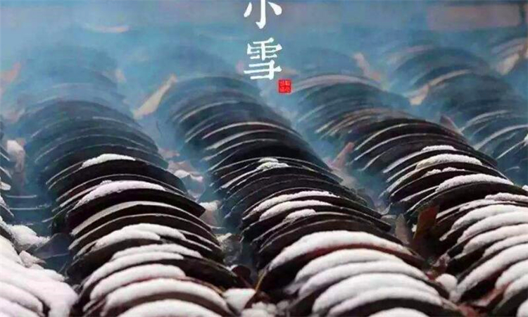 小雪季节如何养生