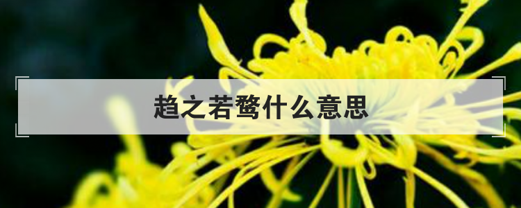 趋之若鹜什么意思