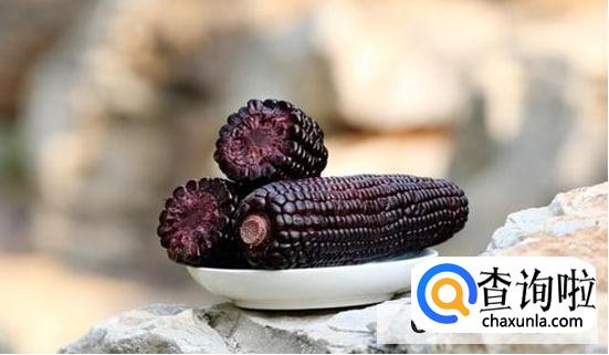 黑玉米怎么吃最好