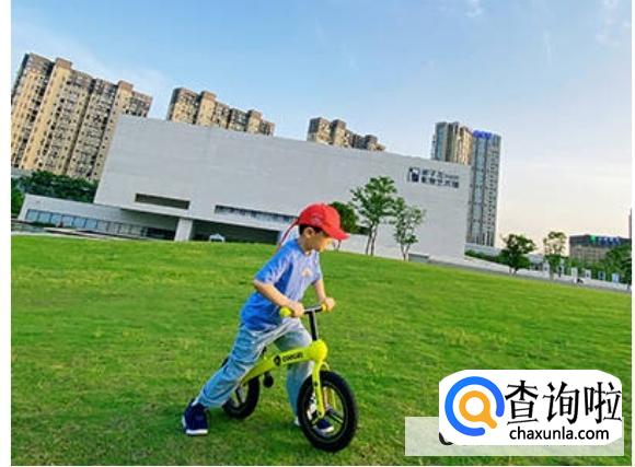 平衡车和滑板车有必要都买吗