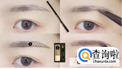 新手画眉教程