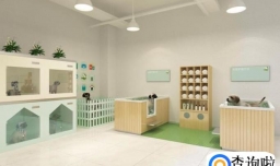 2018年，男生开宠物店怎么样？