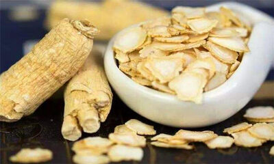 高丽参和西洋参的区别