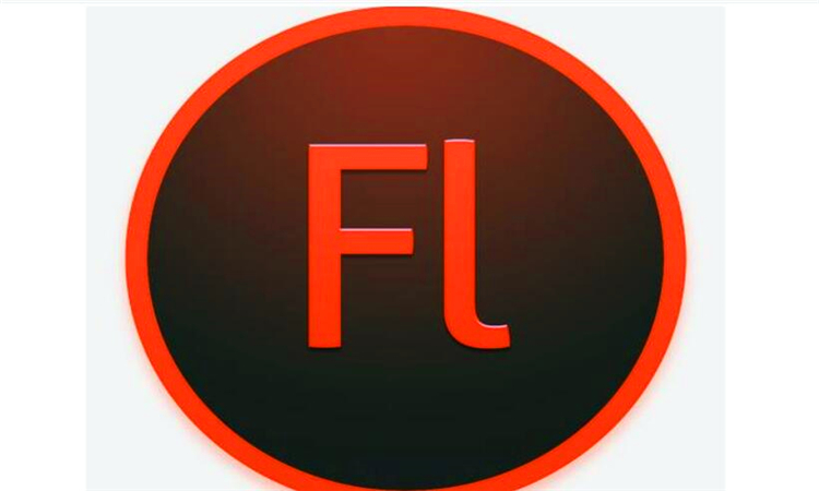 flash是什么意思