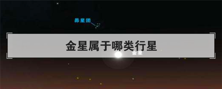 金星属于哪类行星