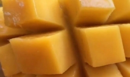 奥利奥木糠杯怎么做