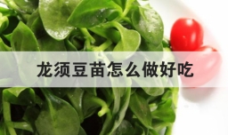 龙须豆苗怎么做好吃
