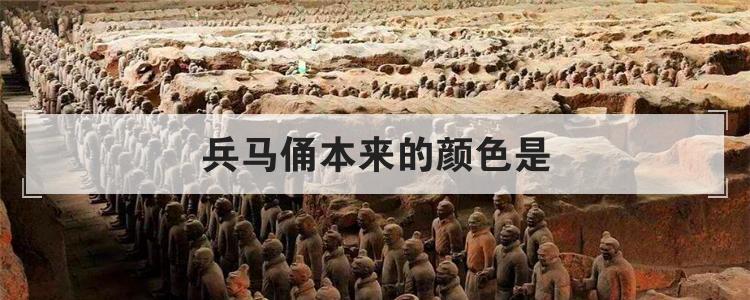 兵马俑本来的颜色是