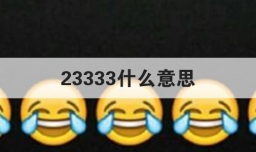 23333什么意思