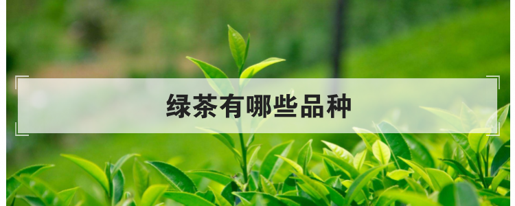 绿茶有哪些品种
