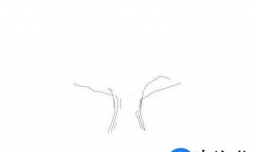 秋天的树怎么画？