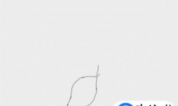 简笔画月季花的画法