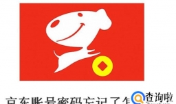 京东账号密码忘记了怎么办