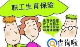 生育险怎么报销
