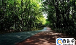 城市森林公园有哪些好处