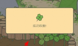 怎样成为世界上最好的蛙妈