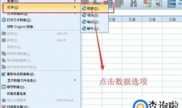 如何运用SPSS软件对数据文件进行分类汇总
