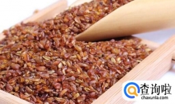 苦荞茶的正确喝法