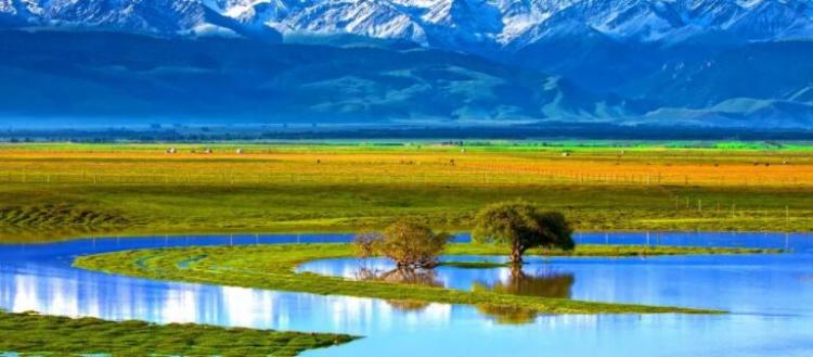 湿地的功能和作用