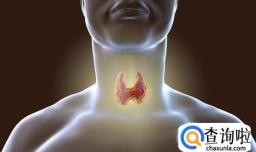 海带的功效与食用禁忌