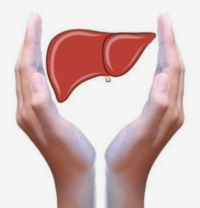 脂肪肝最好的治疗方法