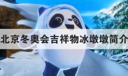 北京冬奥会吉祥物冰墩墩简介