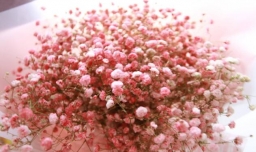 结婚一周年该送什么礼物