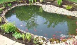 怎么在家里建水池养鱼