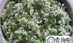 韭菜花的简单腌制方法