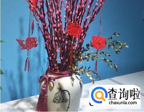 银柳发霉了处理措施