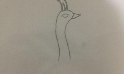 如何快速画孔雀