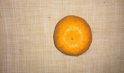 家庭自制桔子酒的方法