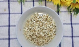 怎样做美味的南瓜薏米百合粥？