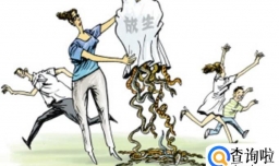 随意放生是否需要承担法律责任