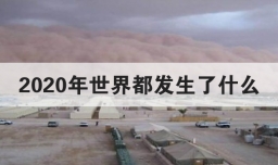 2020年世界都发生了什么