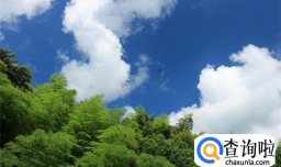 全国多地晴朗天气过清明