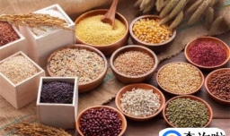 尿酸高吃什么东西能降尿酸