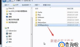 如何使用TotoiseSVN提交文件到总库