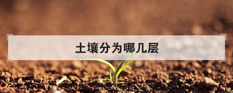 土壤分为哪几层