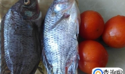 番茄焖土罗非鱼