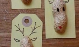 花生壳可以做什么手工