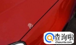 车上的树胶和鸟粪该怎么去除不伤车漆