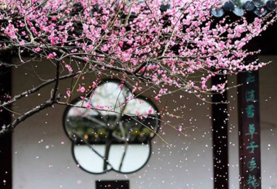 去年今日此门中人面桃花相映红这句话的含义是什么