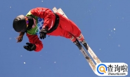 自由式滑雪得分规则是根据什么