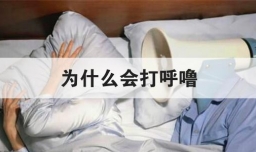 为什么会打呼噜