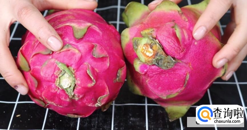 如何选择好吃的火龙果