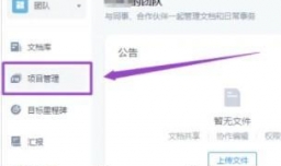 WPS小团队怎么设置成员可编辑所有项目管理任务