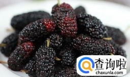 桑葚干的制作方法